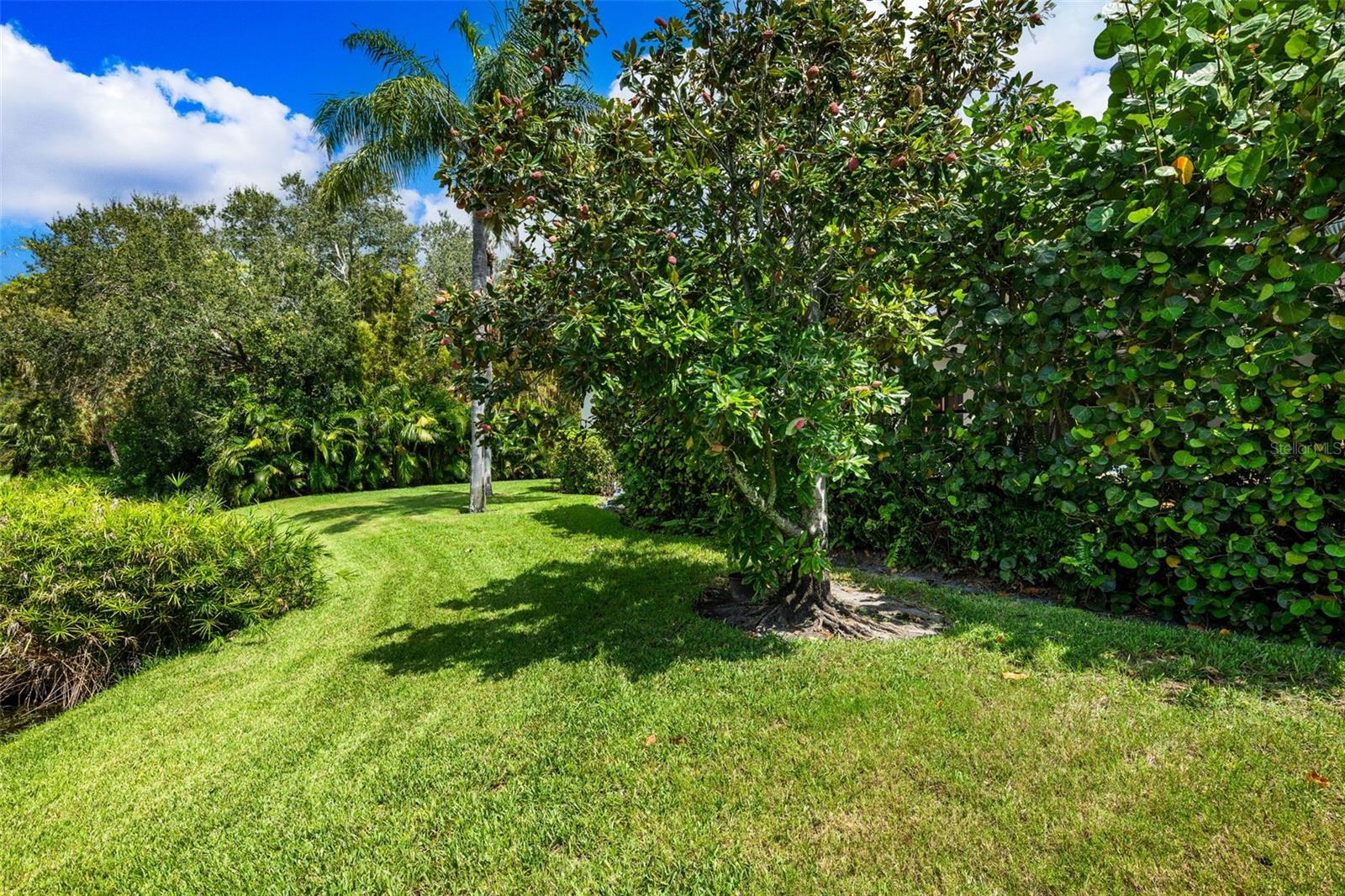 Listing photo id 42 for 5904 Pelican Bay Plaza S