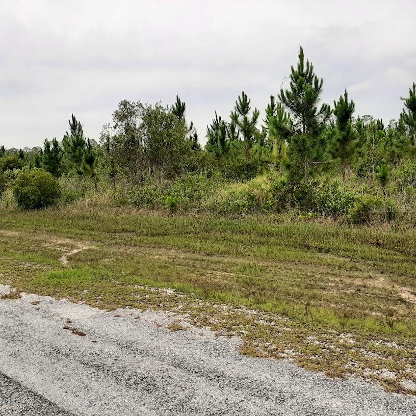 Details for Calliandra Drive, INDIAN LAKE ESTATES, FL 33855