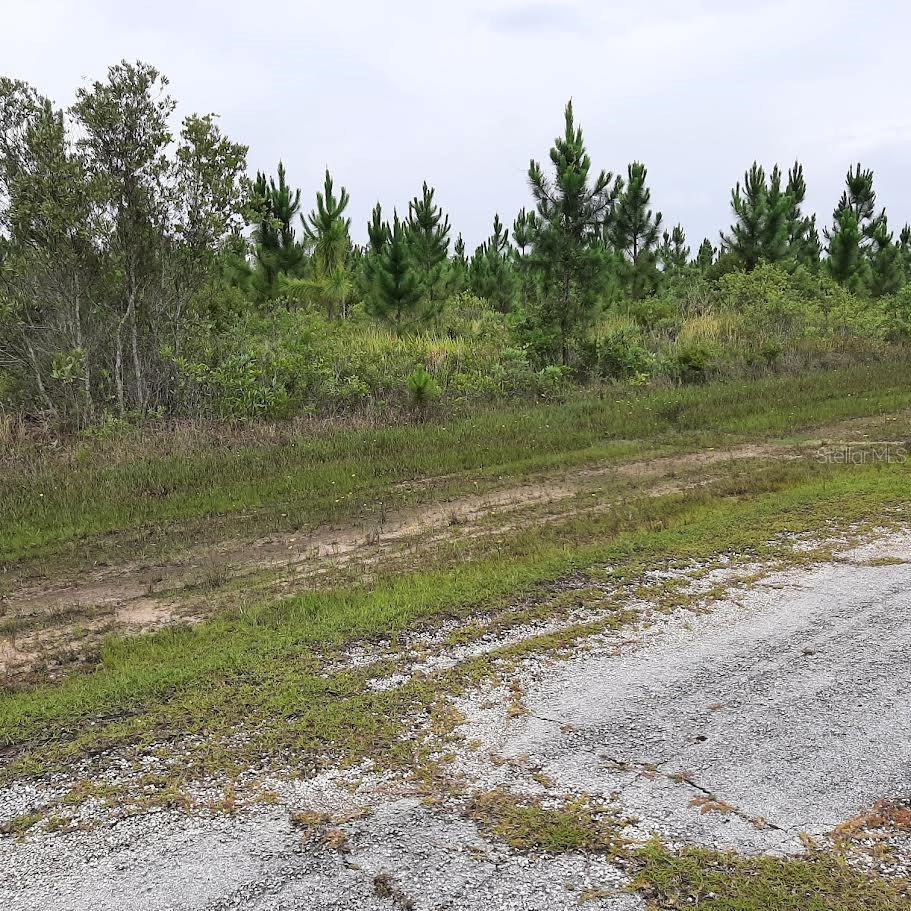 Image 6 of 33 For Calliandra Drive