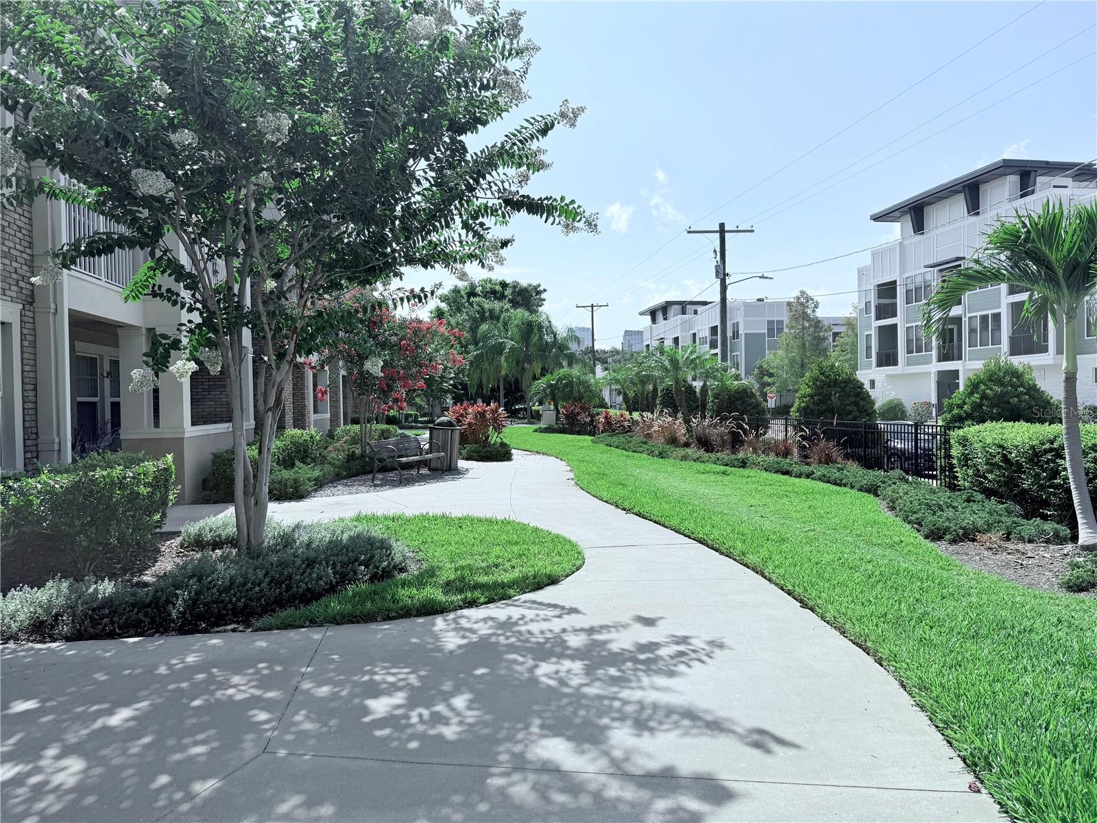Image 4 of 52 For 1542 Lemon Street