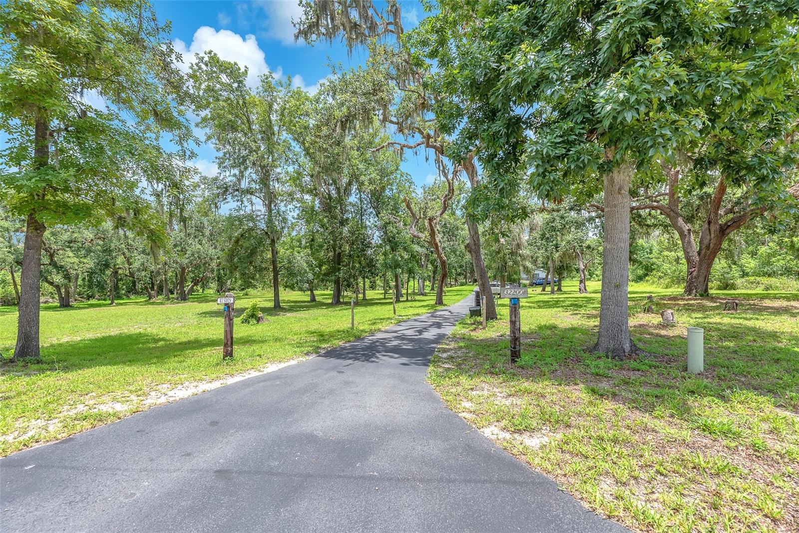 Listing photo id 28 for 32200 Taylor Grade Road