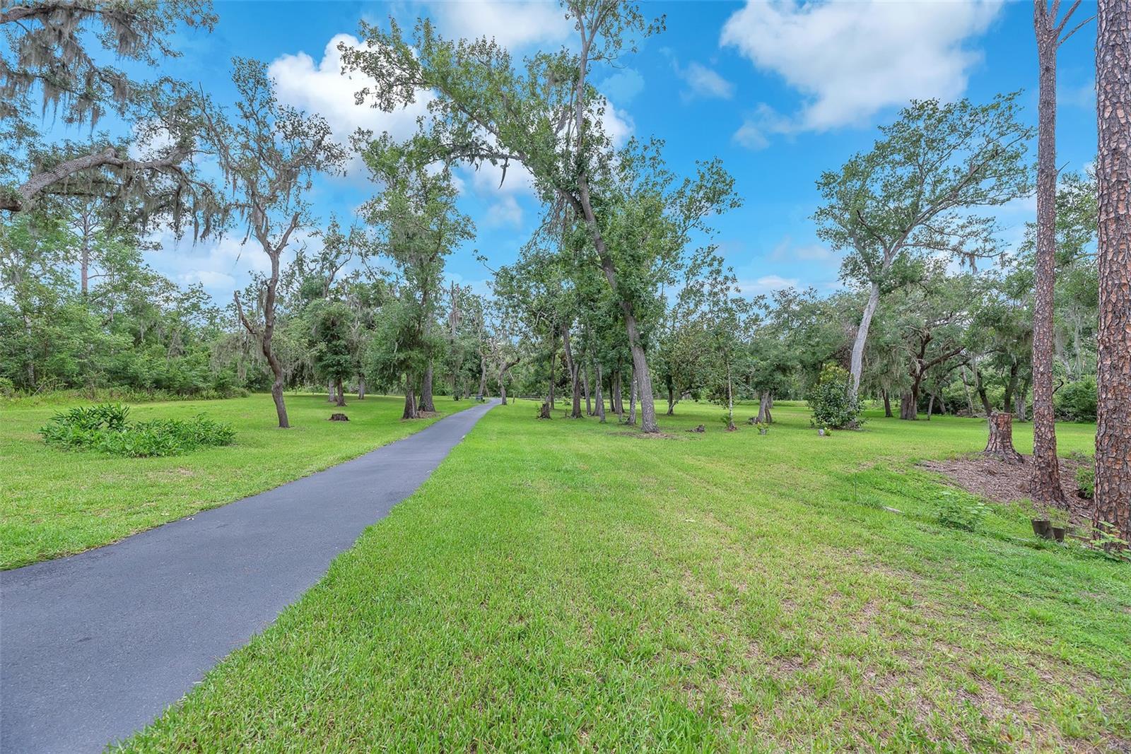 Listing photo id 31 for 32200 Taylor Grade Road