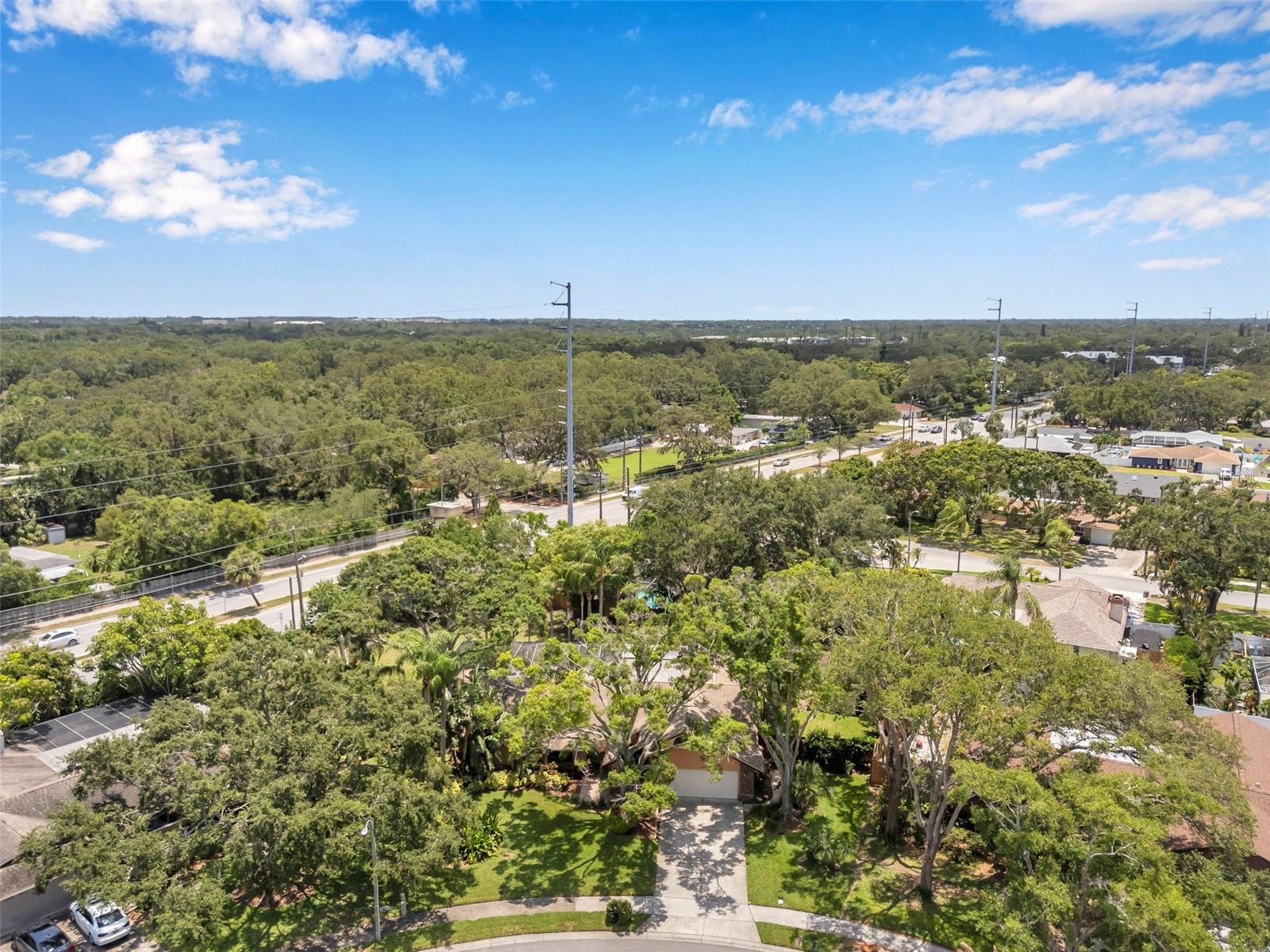 Listing photo id 77 for 1695 Cinnamon Lane
