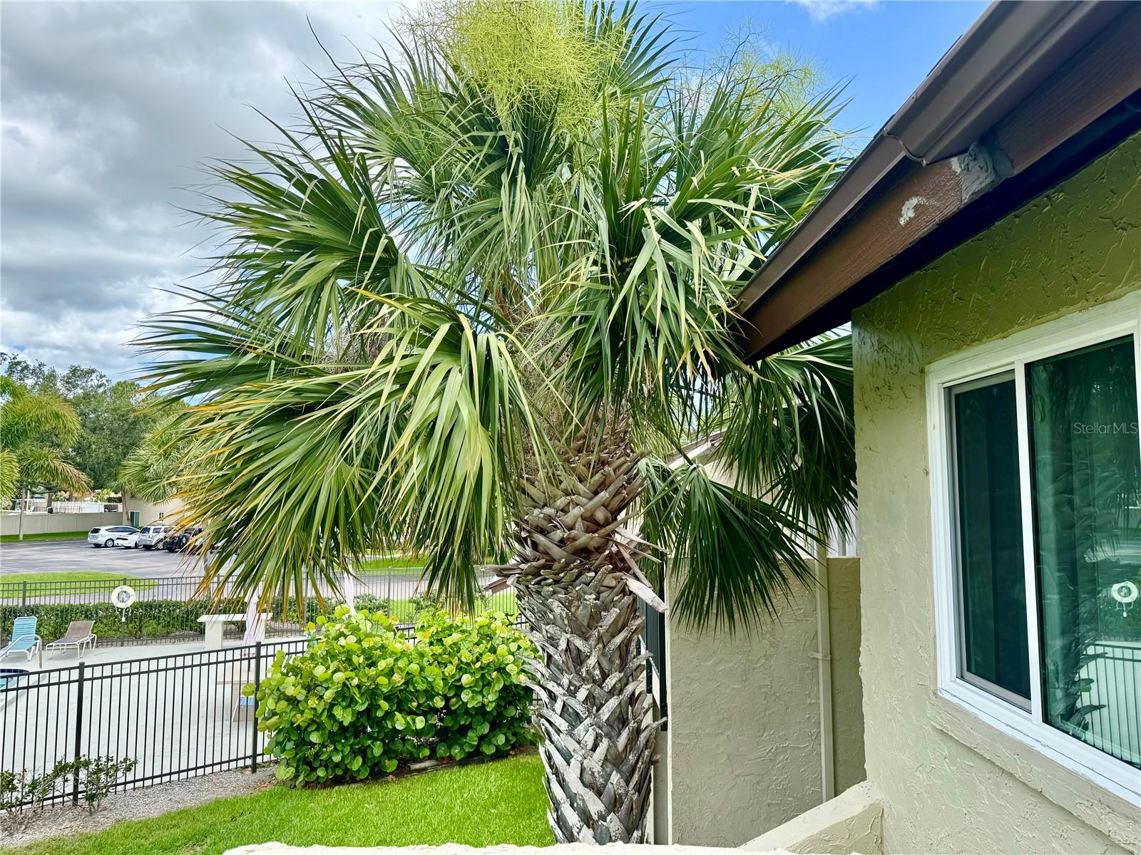 Image 29 of 35 For 4215 Bay Drive 1707c