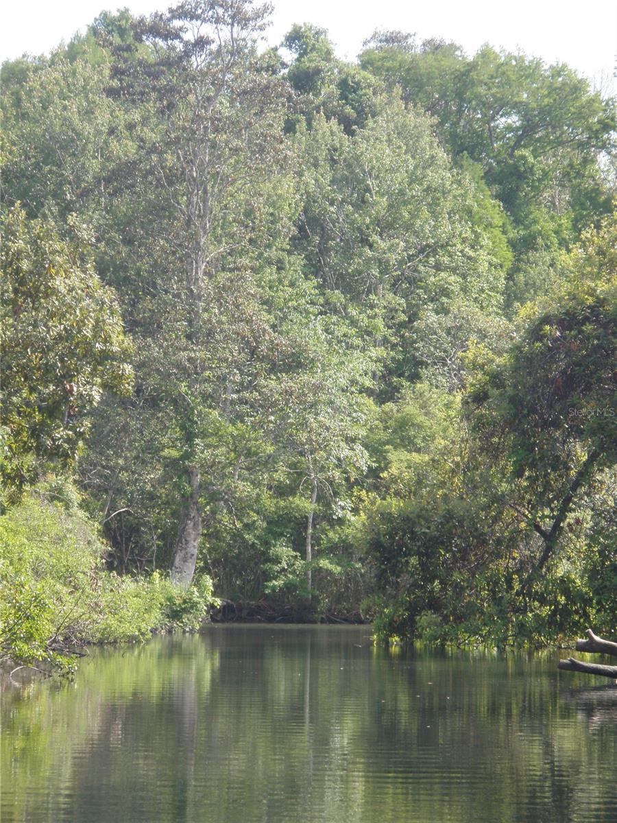 Image 36 of 45 For 6443 Finance Avenue