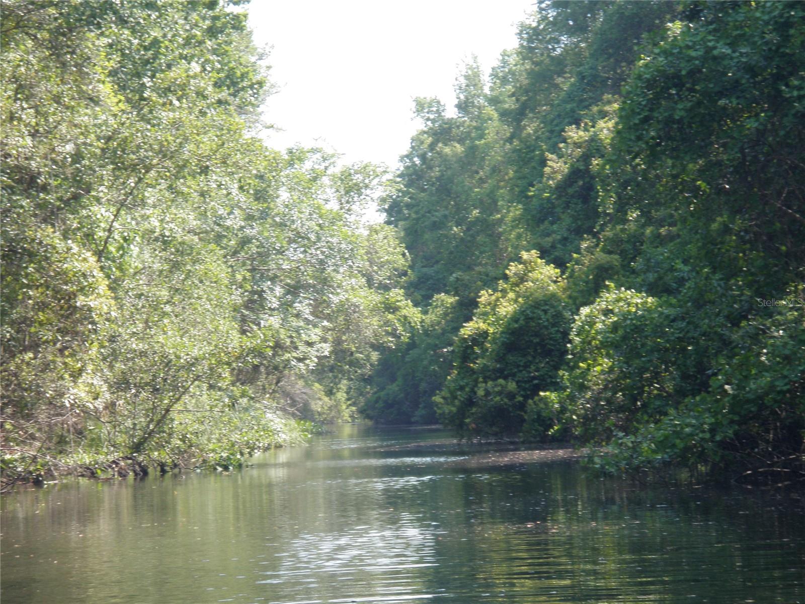 Image 37 of 45 For 6443 Finance Avenue