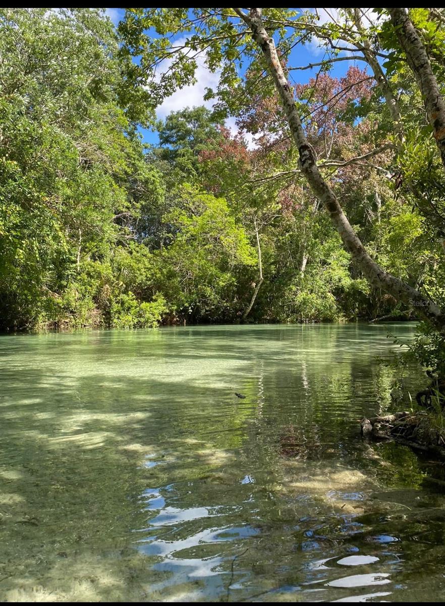 Image 38 of 45 For 6443 Finance Avenue