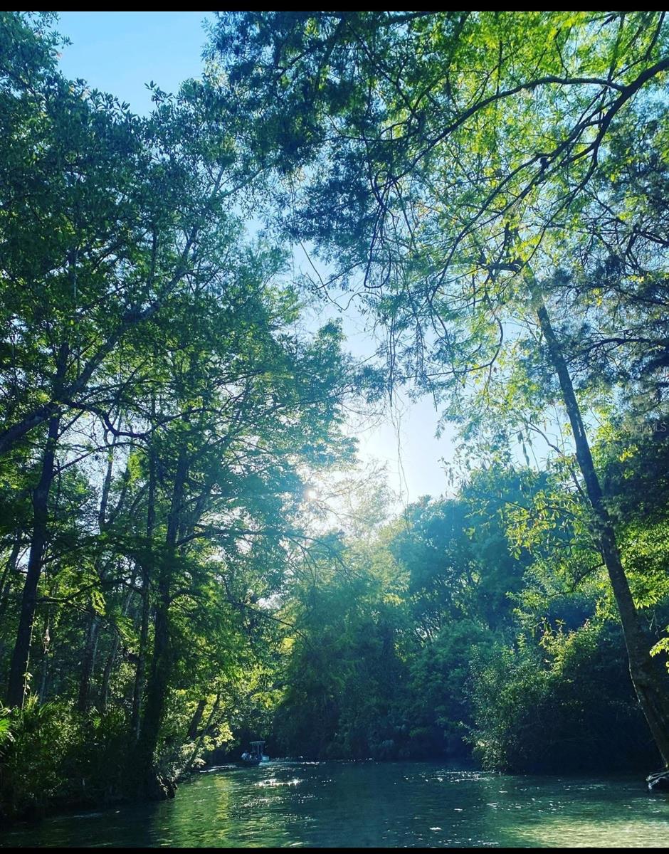 Image 40 of 45 For 6443 Finance Avenue