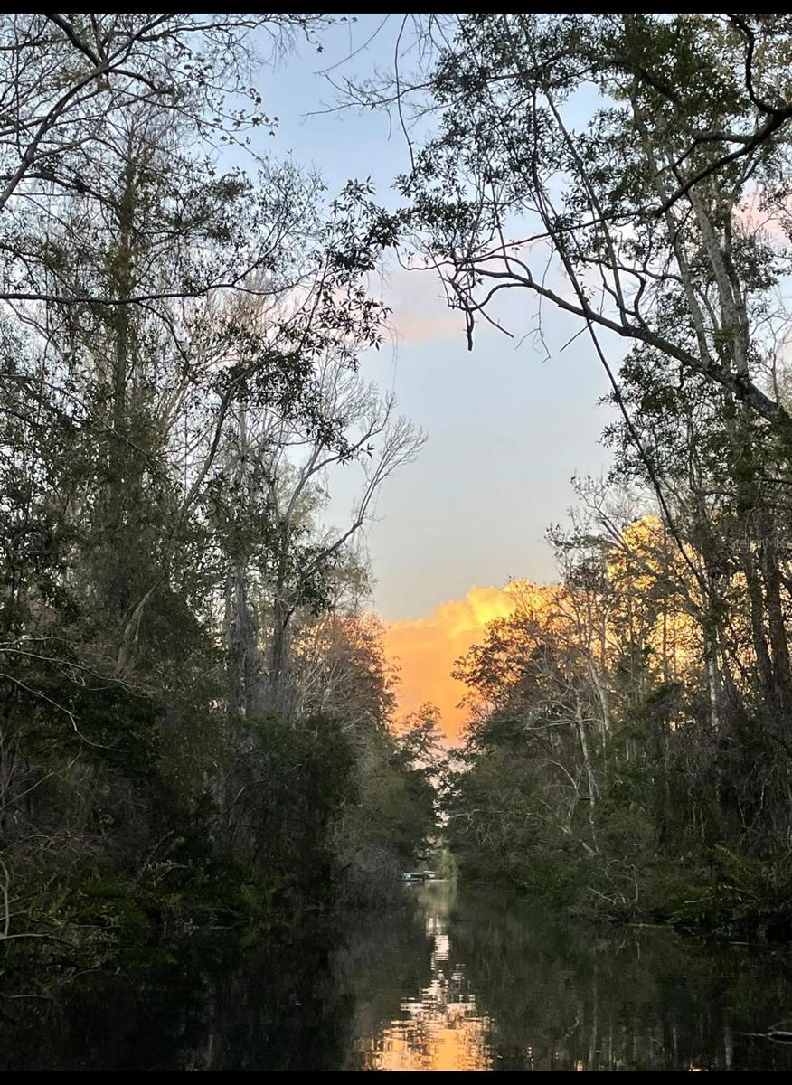 Image 42 of 45 For 6443 Finance Avenue