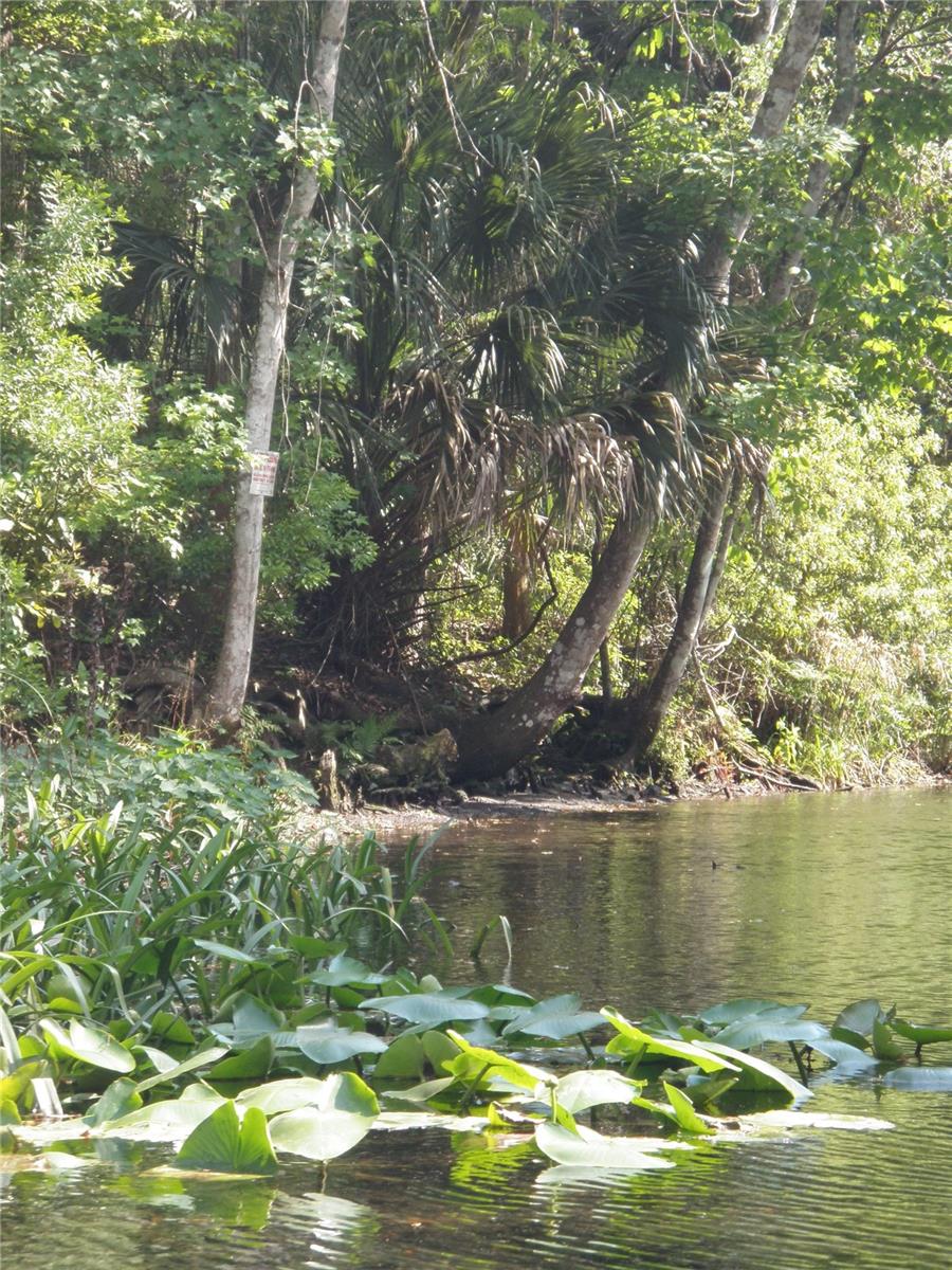 Image 43 of 45 For 6443 Finance Avenue