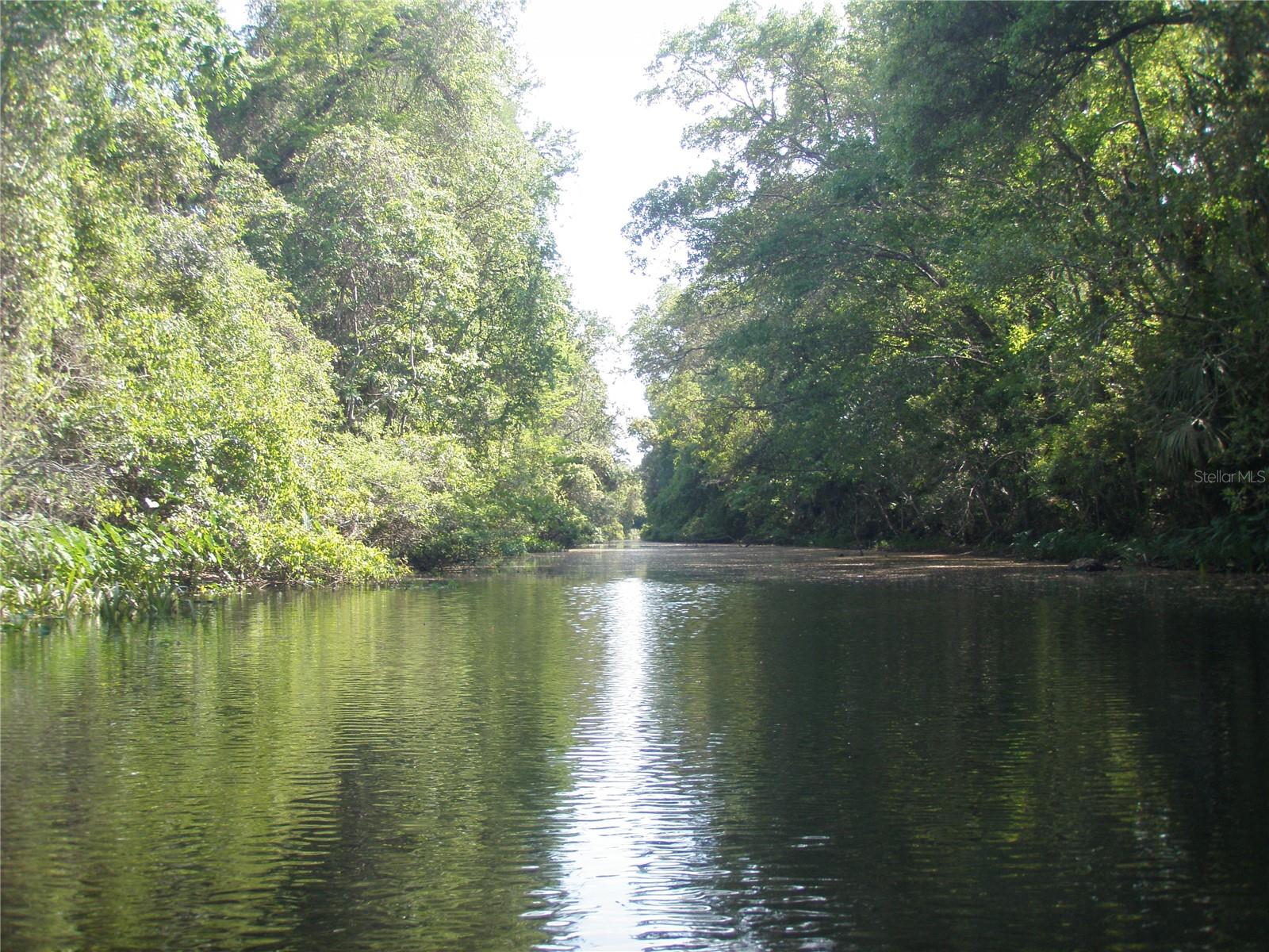 Image 44 of 45 For 6443 Finance Avenue