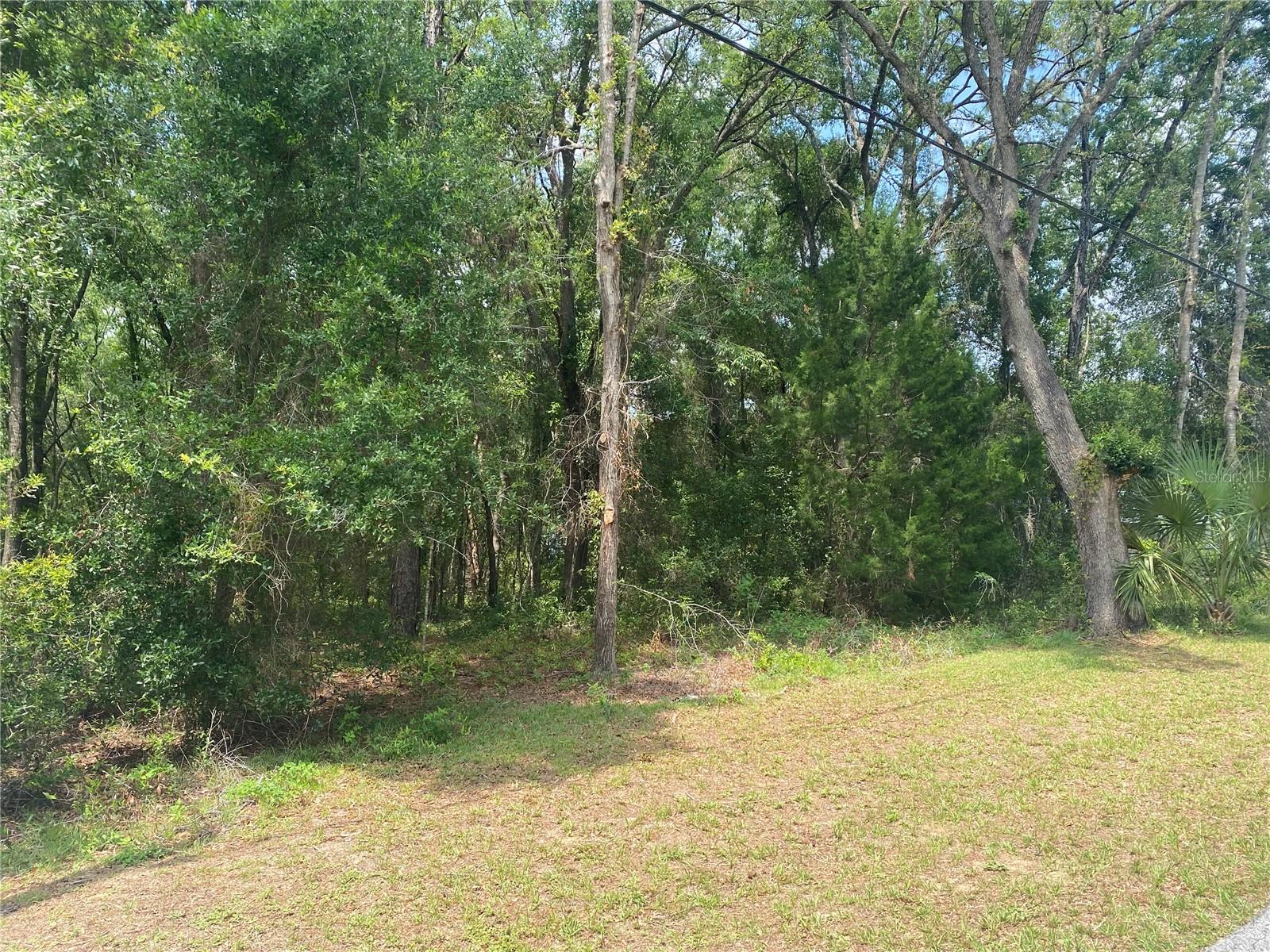 Image 5 of 7 For 1191 Bismark Street