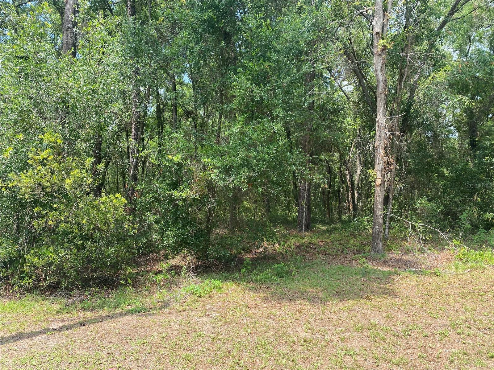 Image 6 of 7 For 1191 Bismark Street