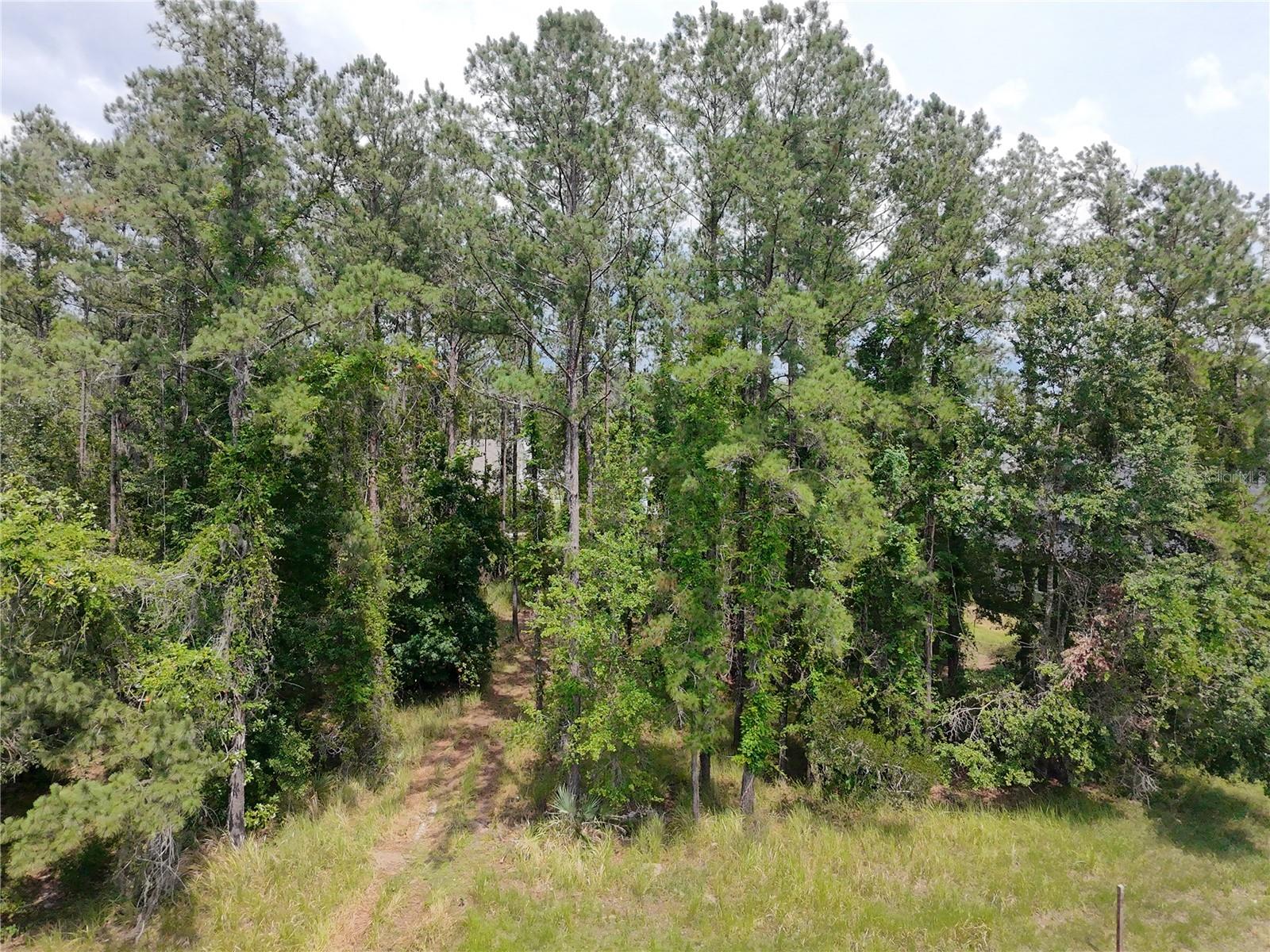 Image 2 of 6 For 4816 Majestic Hills Loop
