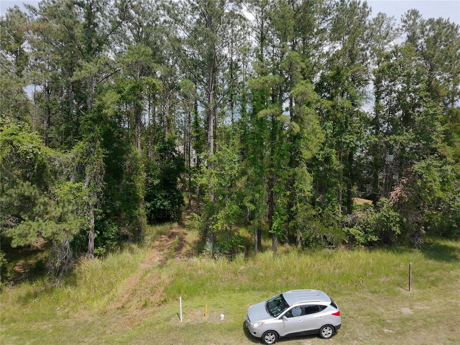 Image 4 of 6 For 4816 Majestic Hills Loop