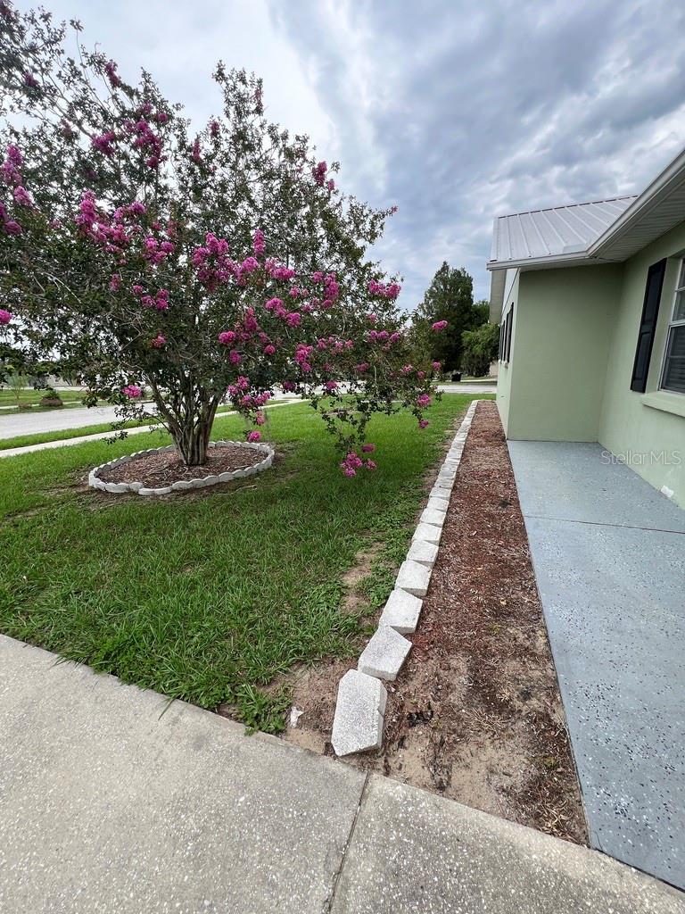 Image 3 of 20 For 38822 Margs Court