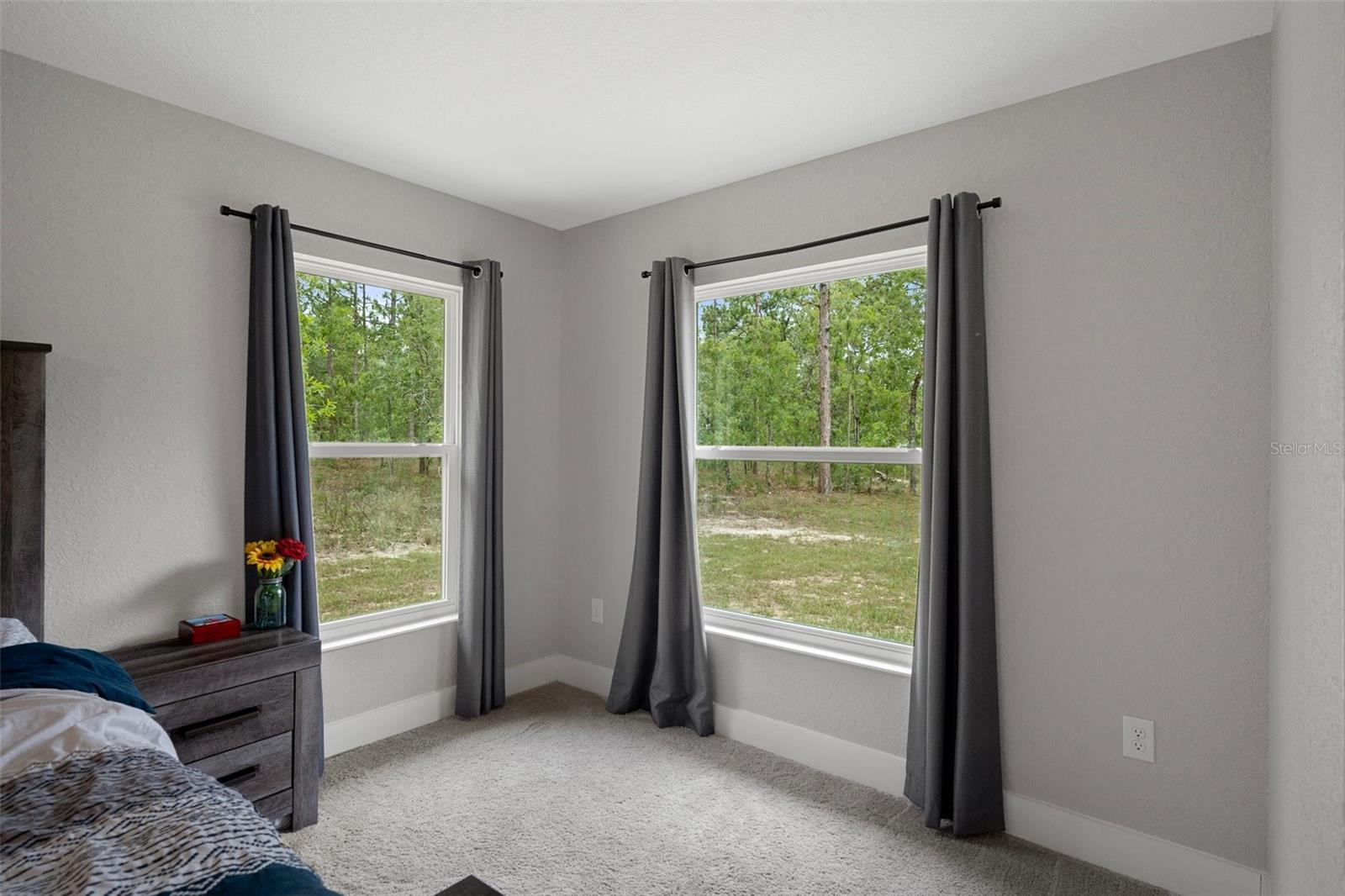 Listing photo id 19 for 16473 Scaup Duck Avenue