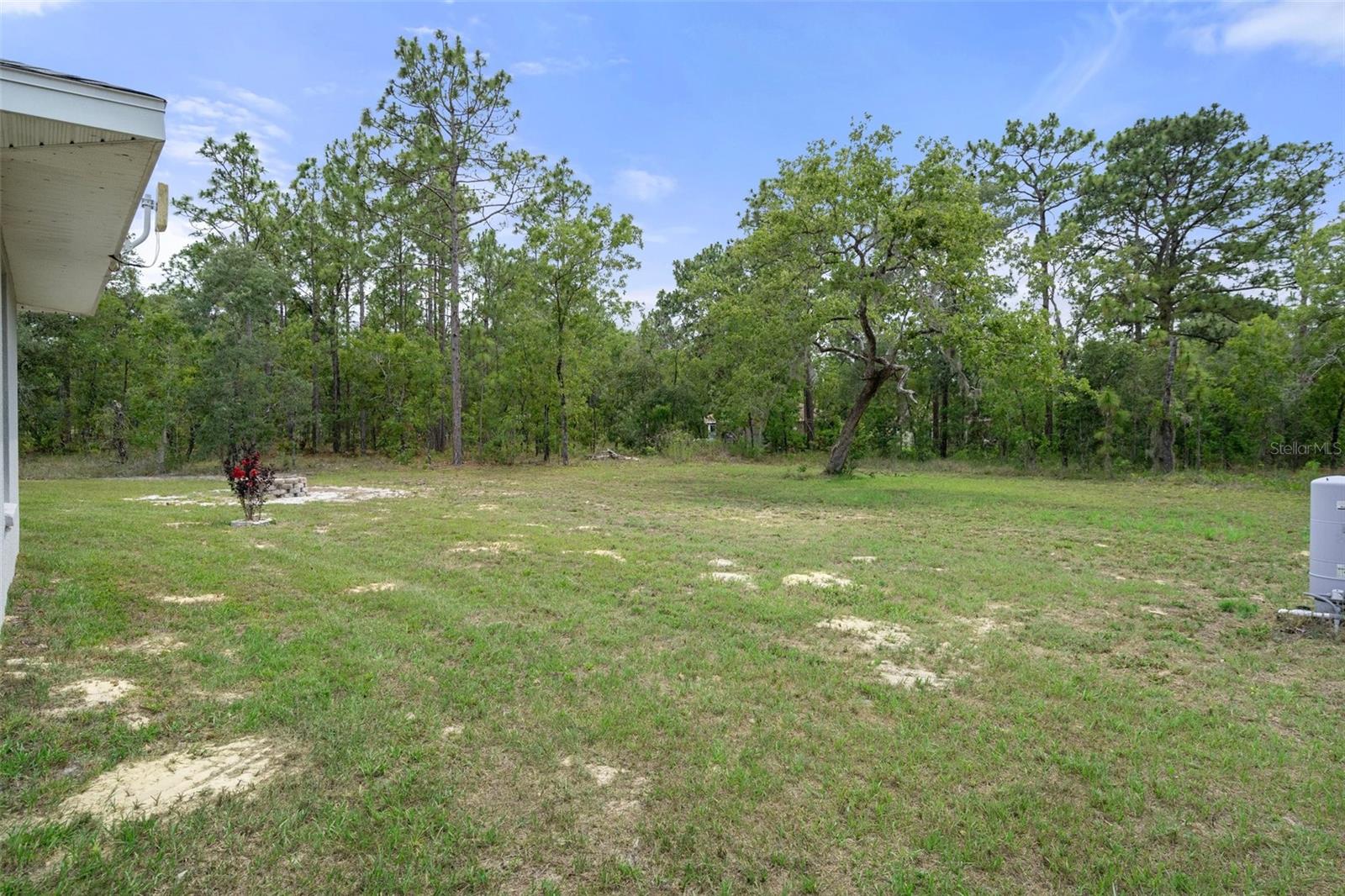 Listing photo id 38 for 16473 Scaup Duck Avenue