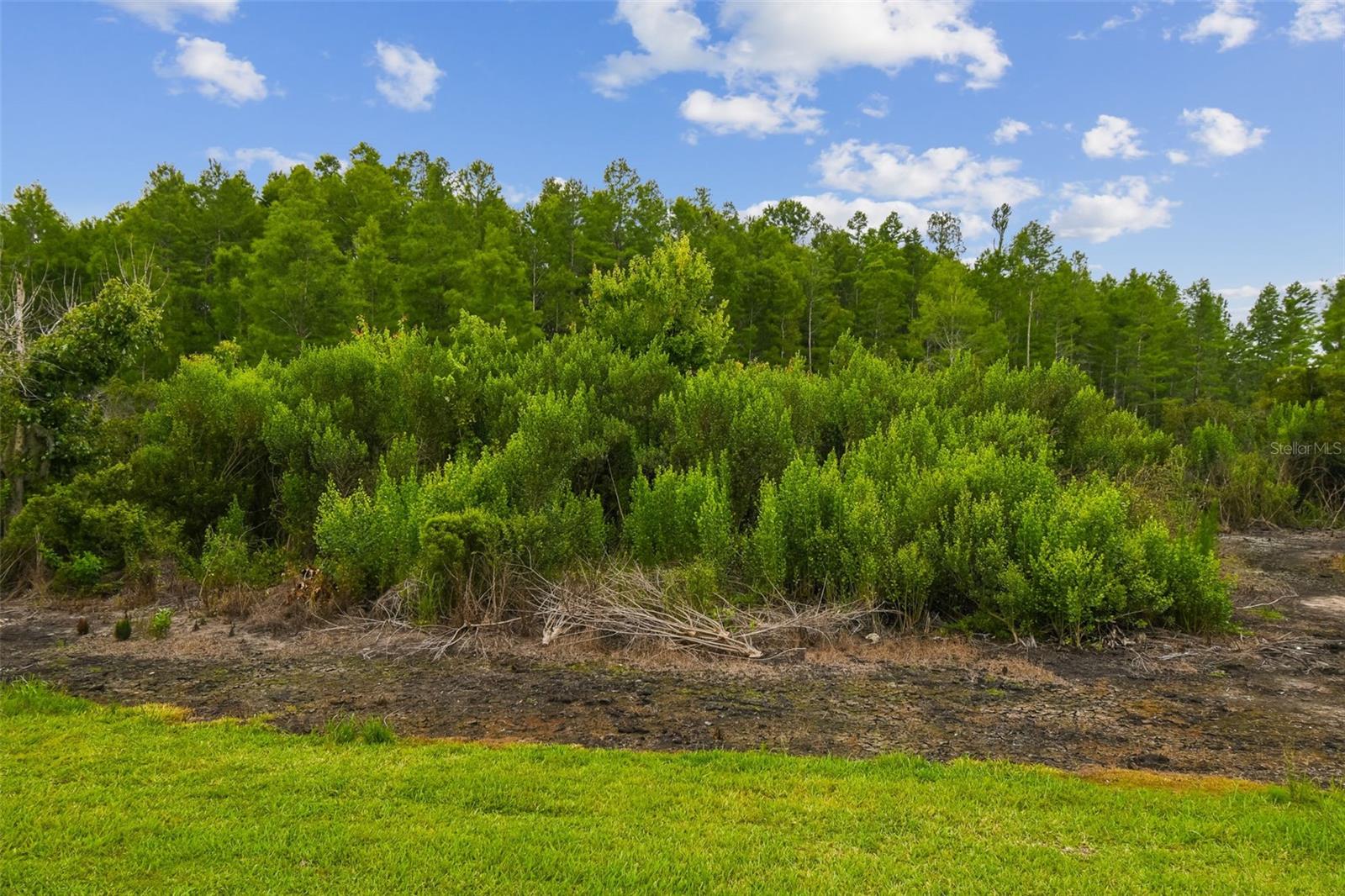 Image 70 of 96 For 10422 Fenceline Road