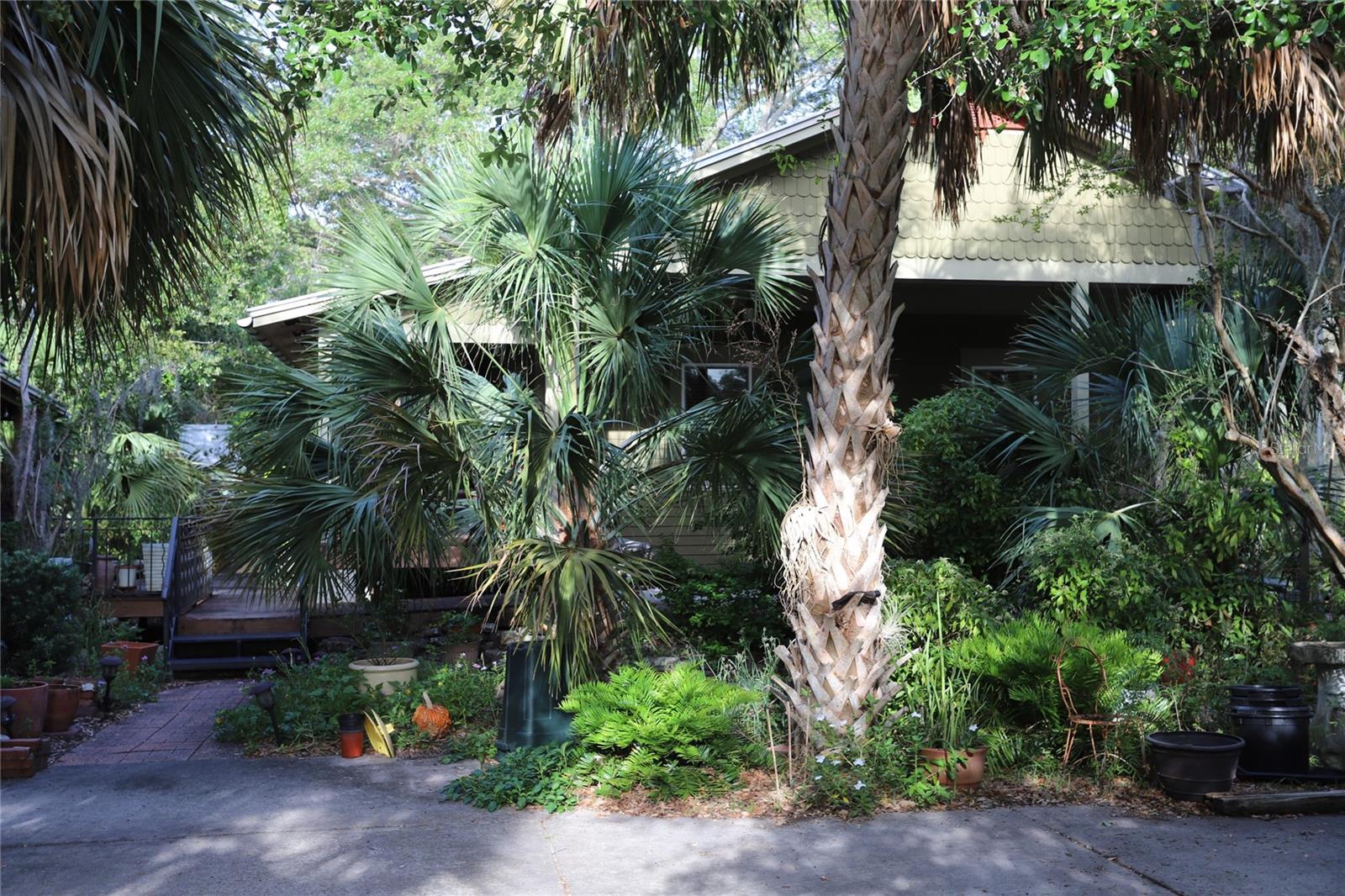 Listing photo id 24 for 272 Orange Street