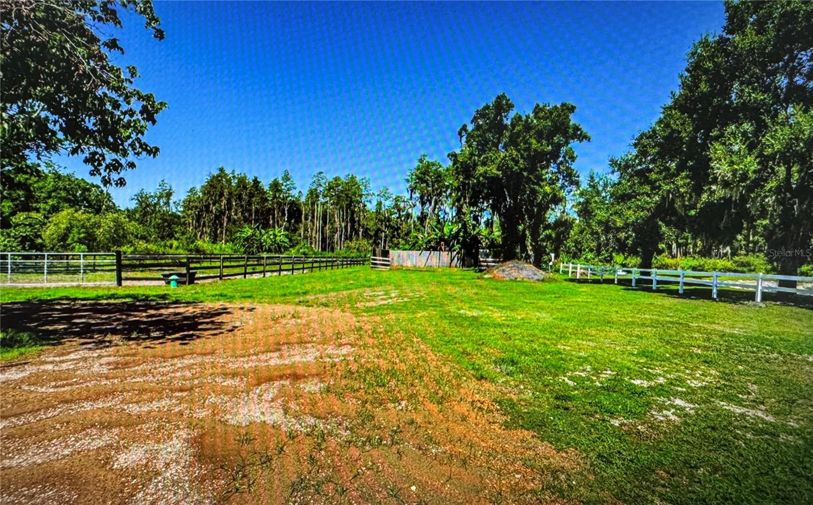Listing photo id 11 for 10502 Henderson Road