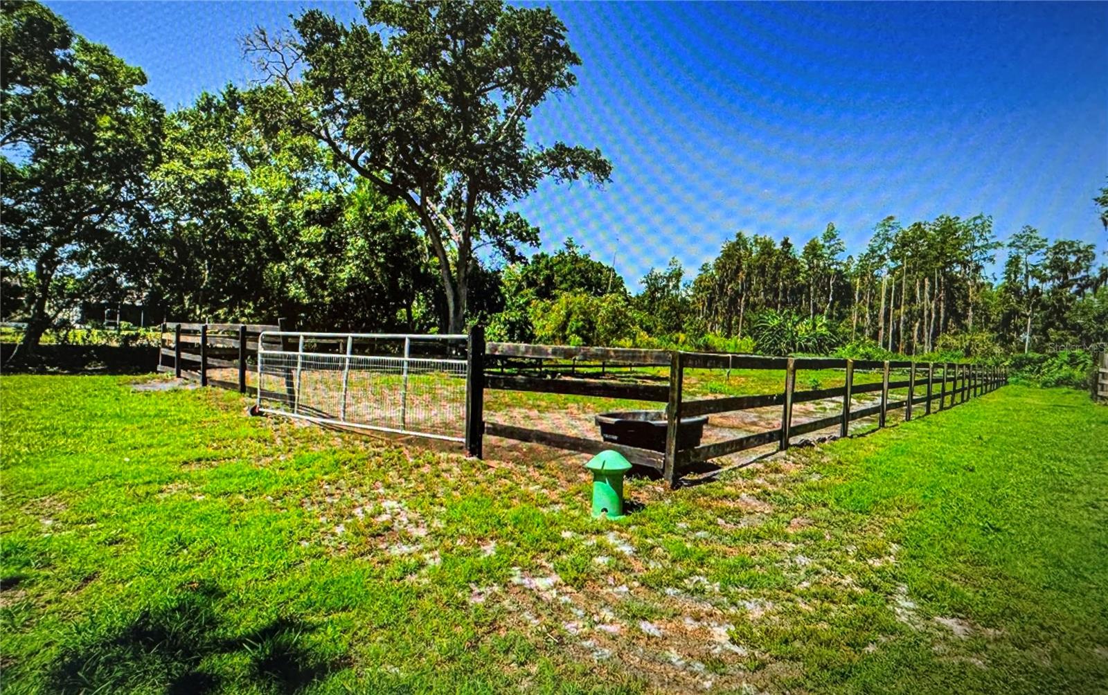Listing photo id 14 for 10502 Henderson Road