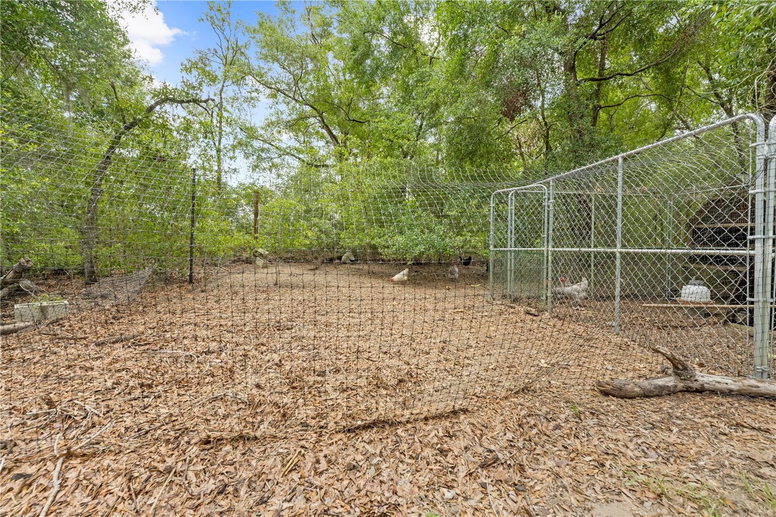 Image 42 of 47 For 5422 Wilkins Trail