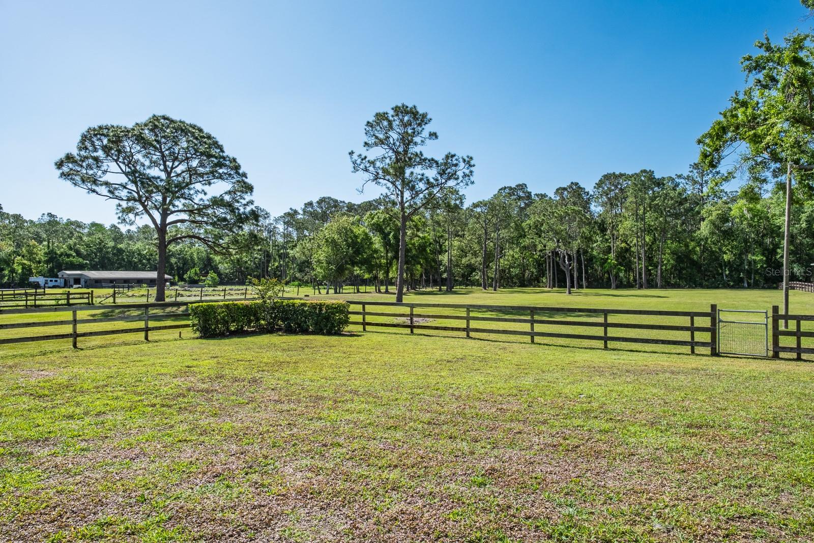 Listing photo id 74 for 3452 Forelock Road