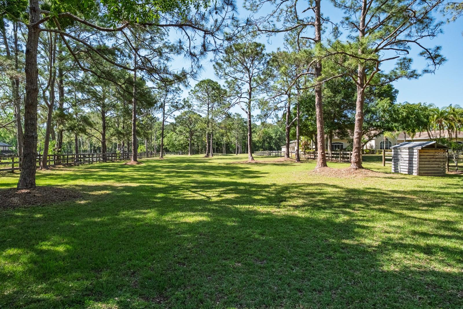 Listing photo id 75 for 3452 Forelock Road