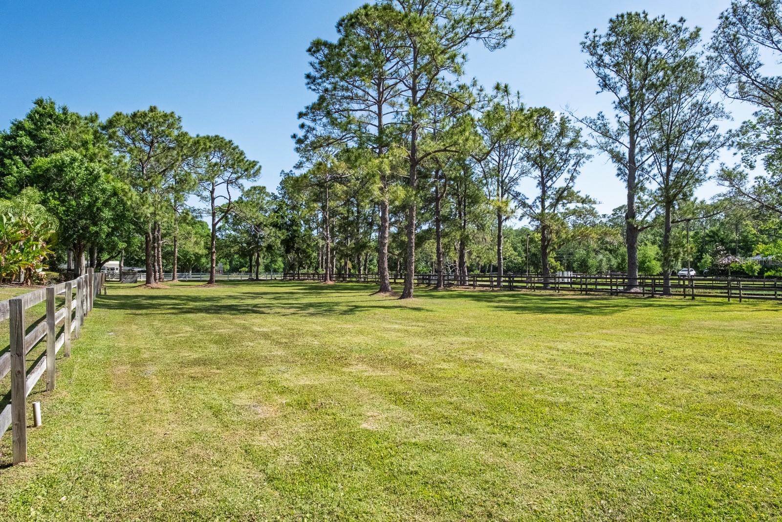 Listing photo id 76 for 3452 Forelock Road