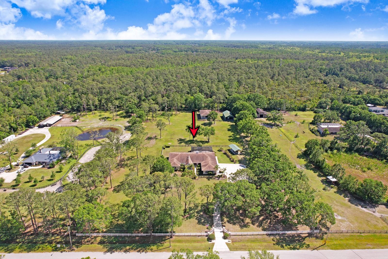 Listing photo id 96 for 3452 Forelock Road