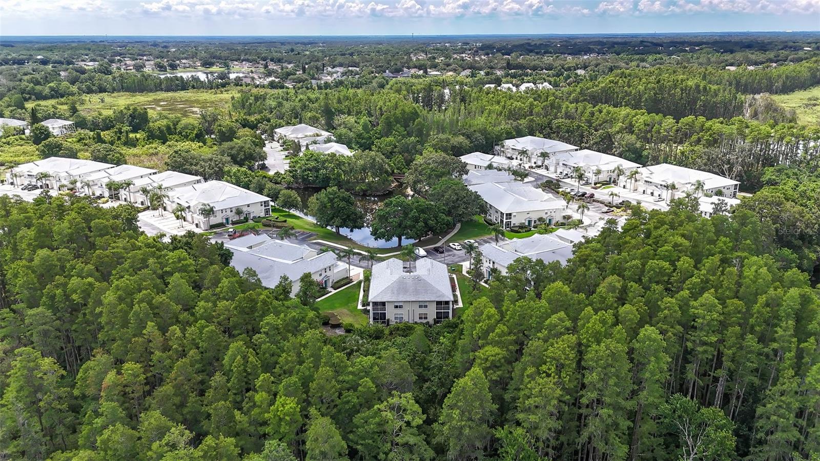 Details for 1827 Hammocks Avenue 1303, LUTZ, FL 33549