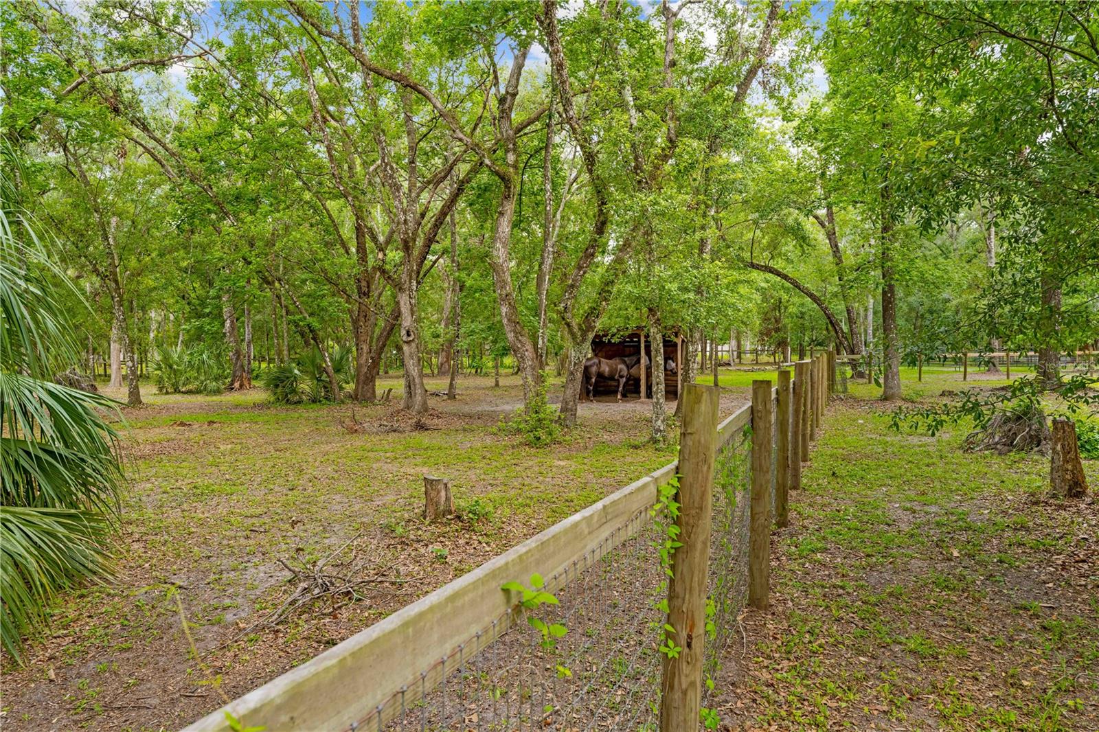 Image 51 of 59 For 19555 Phillips Road