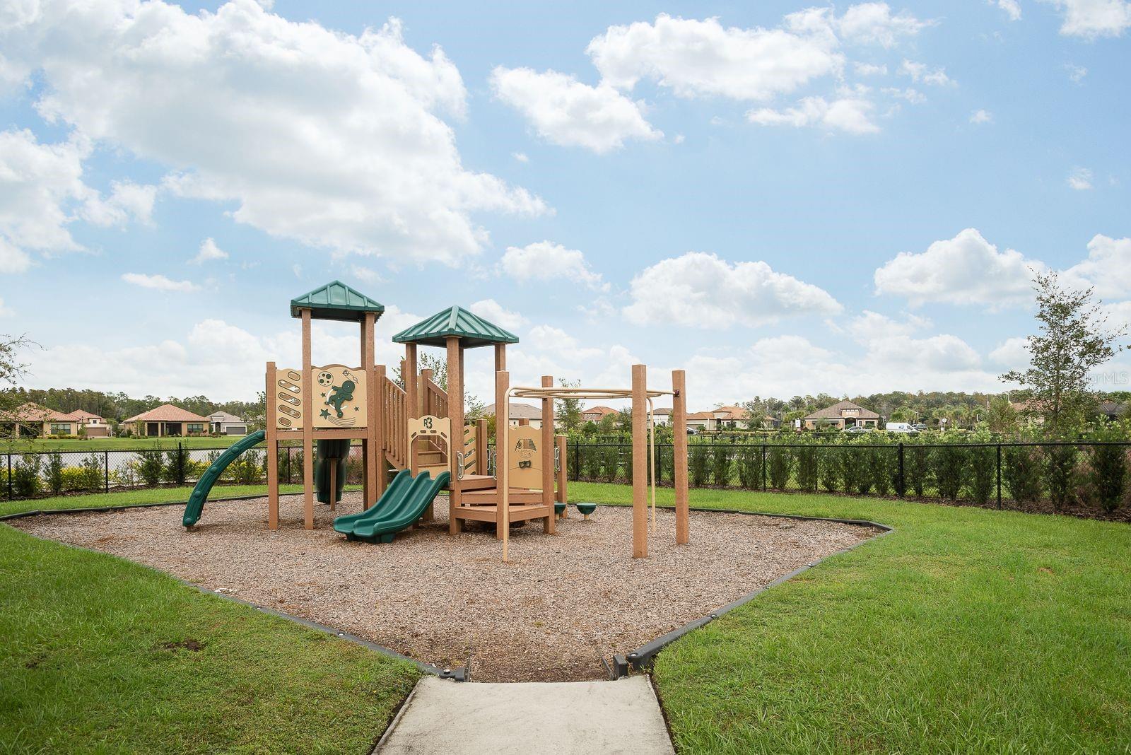 Listing photo id 35 for 11551 Callisia Drive