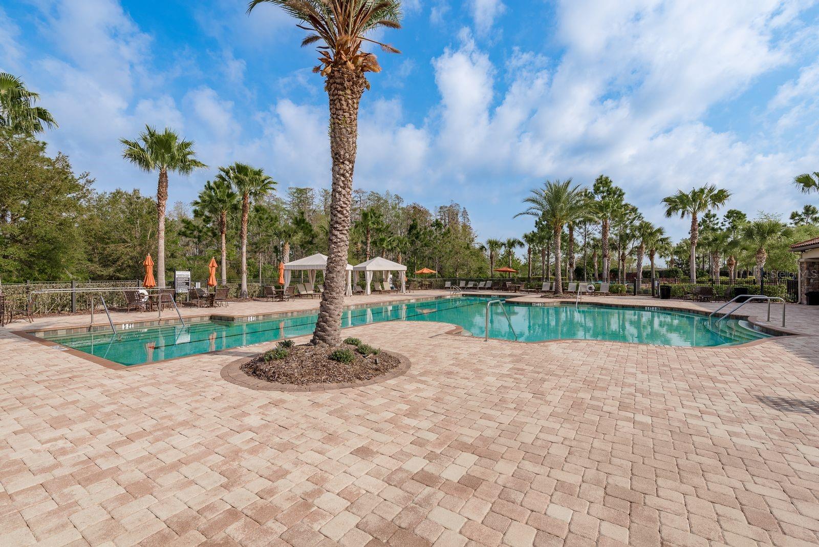 Listing photo id 50 for 11551 Callisia Drive