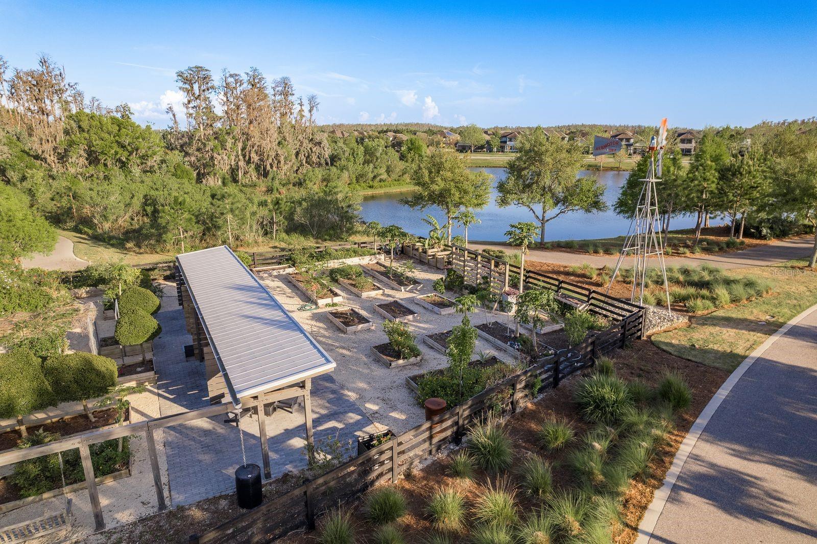 Listing photo id 58 for 11551 Callisia Drive