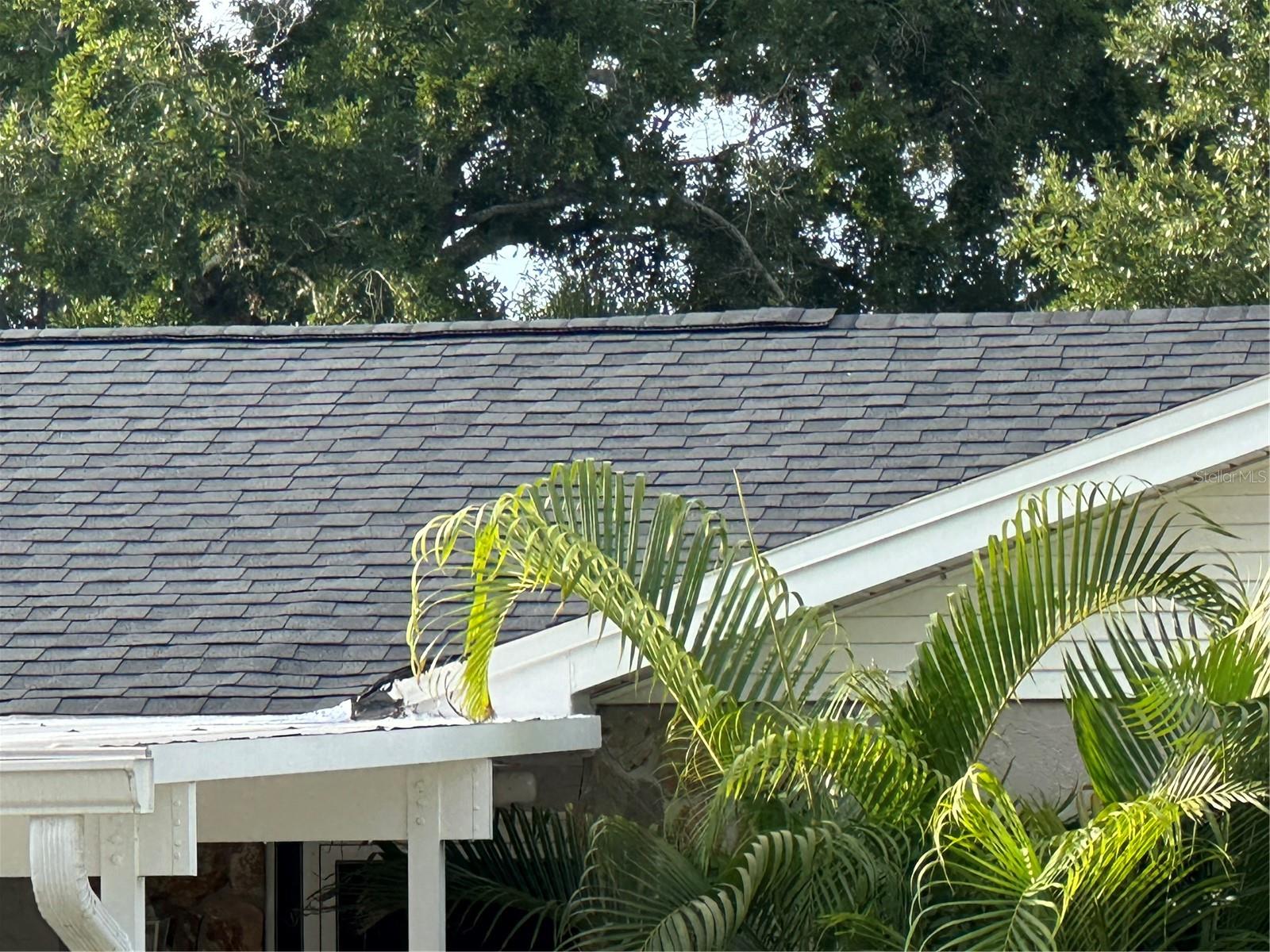 Image 29 of 39 For 7503 Winchester Drive