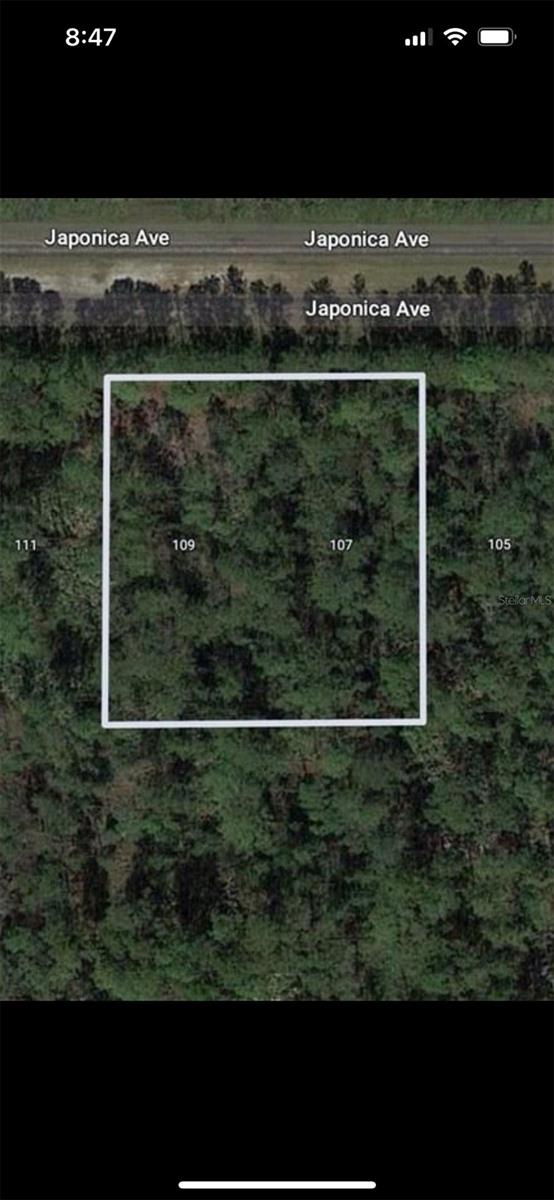 Details for 109 Japonica Avenue, INDIAN LAKE ESTATES, FL 33855