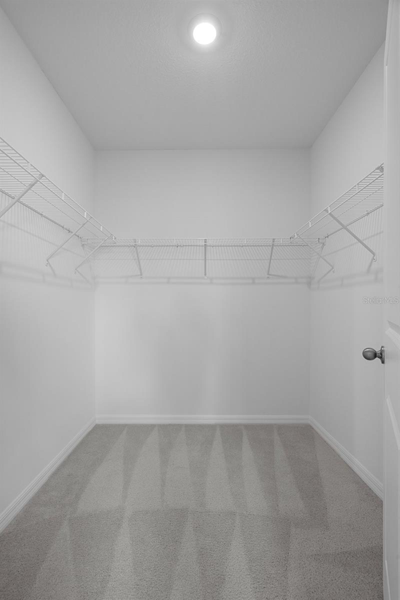 Image 29 of 50 For 13919 Wineberry Drive