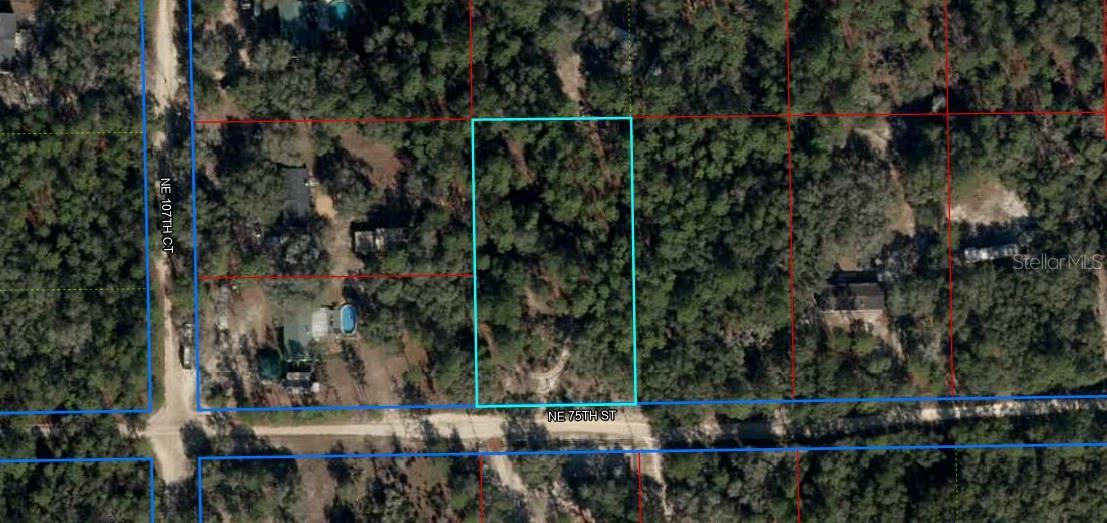 Listing Details for  75th Street , BRONSON, FL 32621