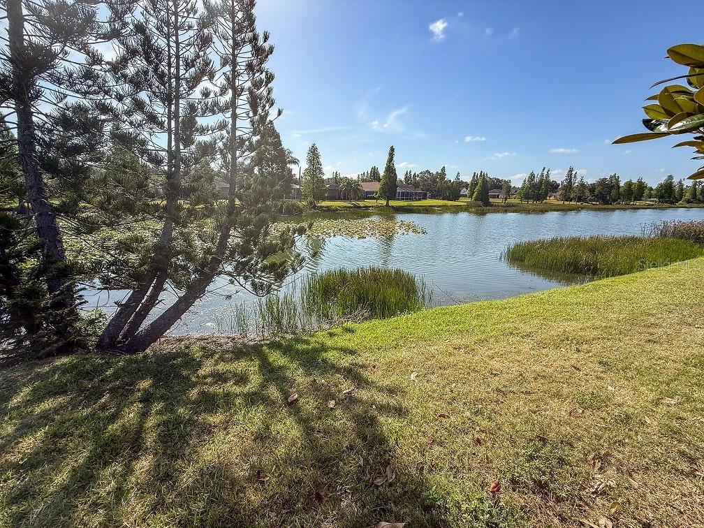 Listing photo id 21 for 1716 Bondurant Way