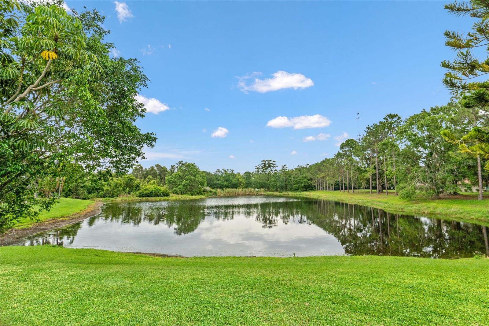 Image 55 of 66 For 2238 Shirecrest Cove Way