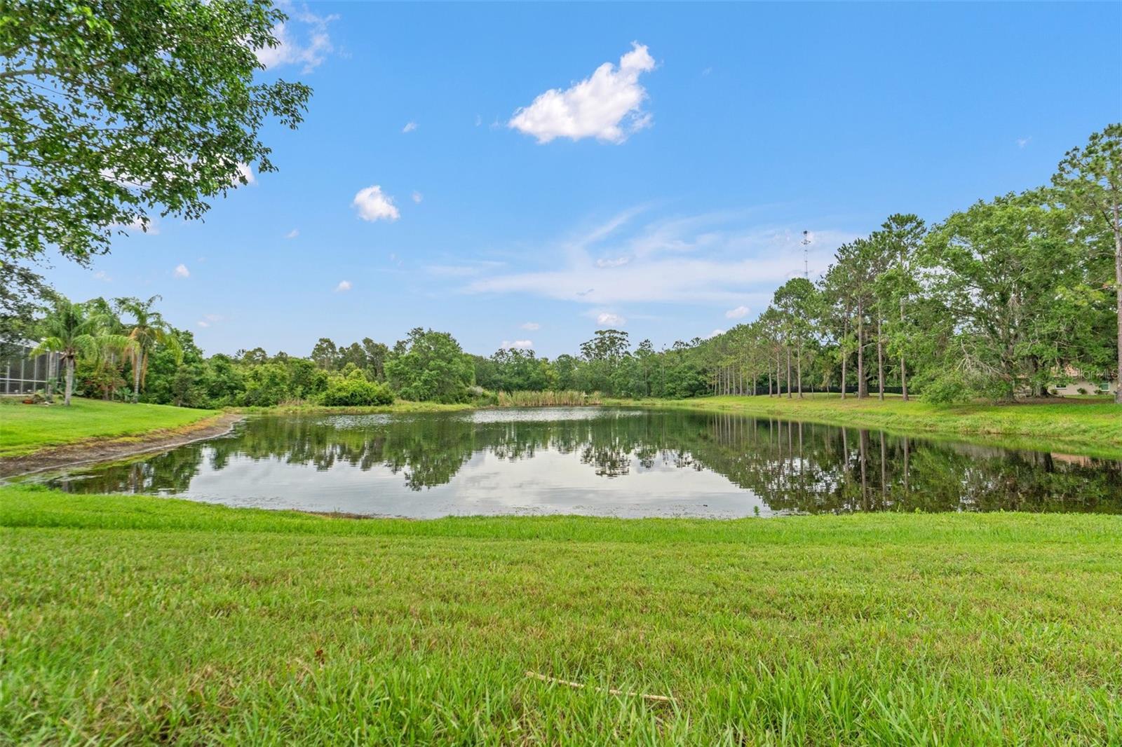 Image 56 of 66 For 2238 Shirecrest Cove Way