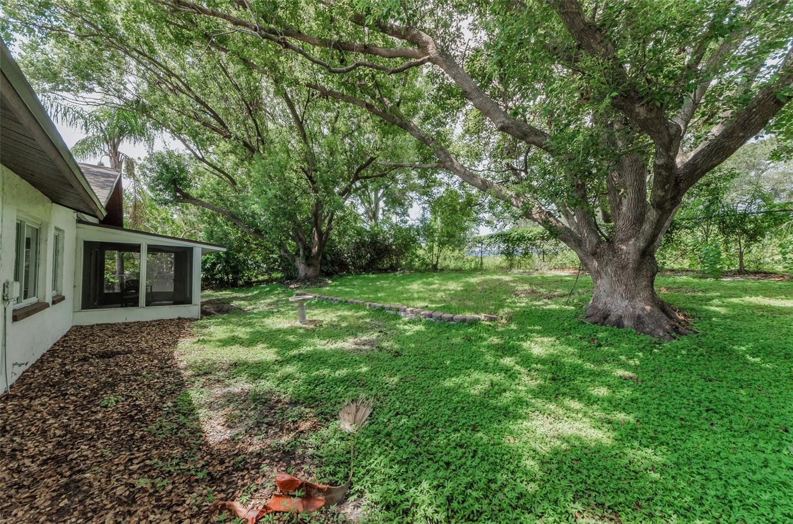Image 41 of 42 For 1558 Cottonwood Terrace
