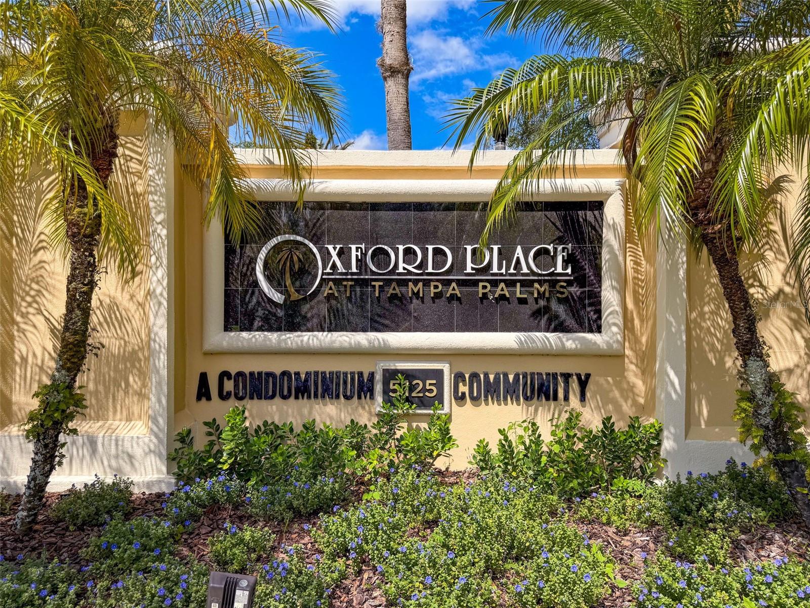 Listing photo id 0 for 5125 Palm Springs Boulevard 3108