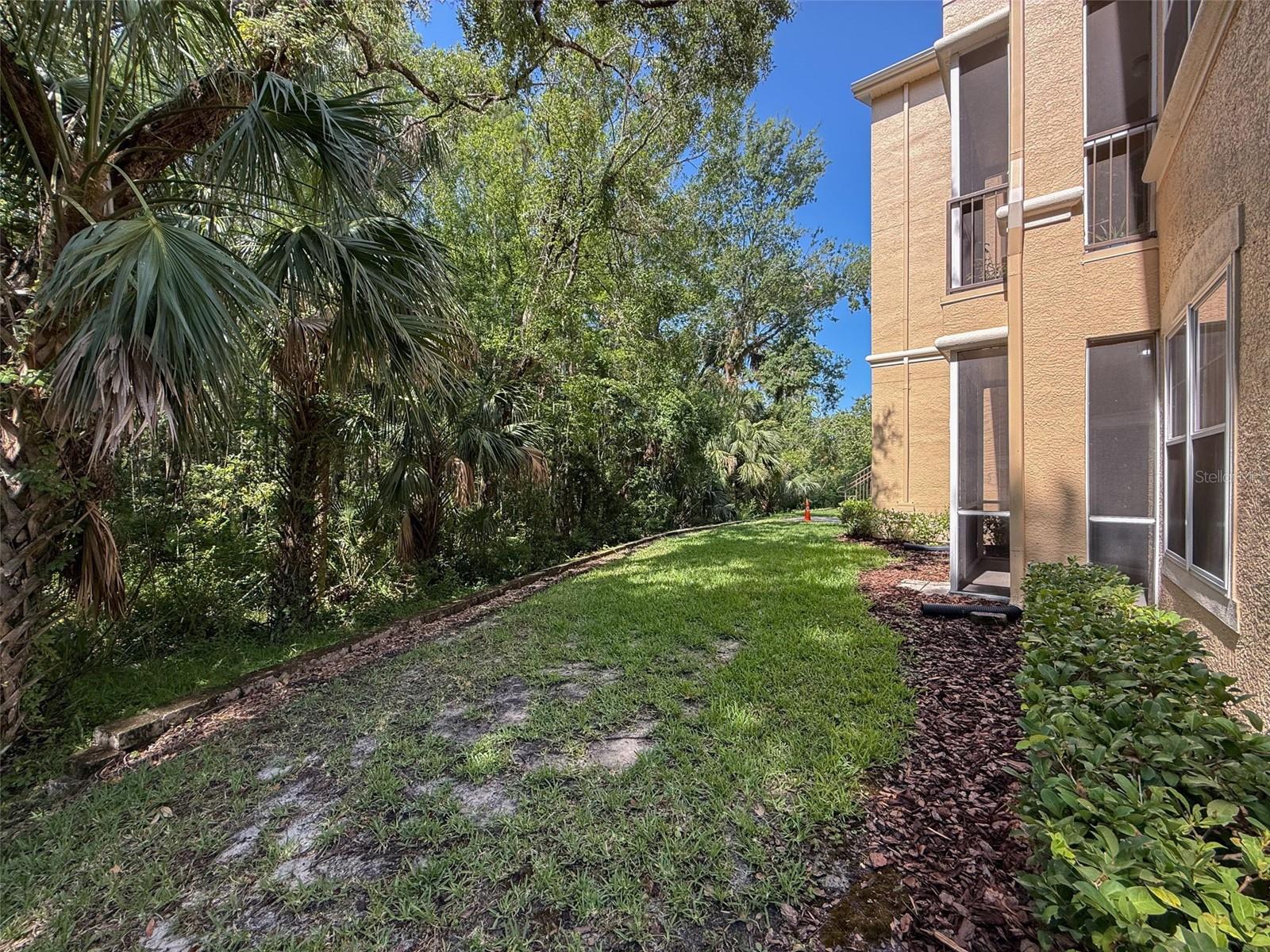 Listing photo id 56 for 5125 Palm Springs Boulevard 3108
