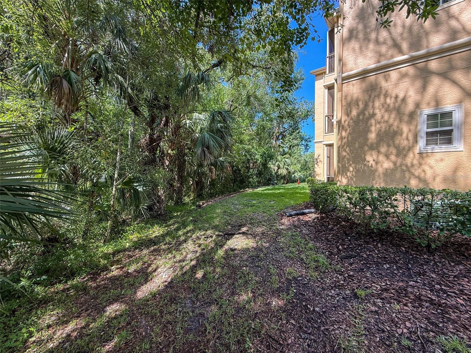Listing photo id 57 for 5125 Palm Springs Boulevard 3108