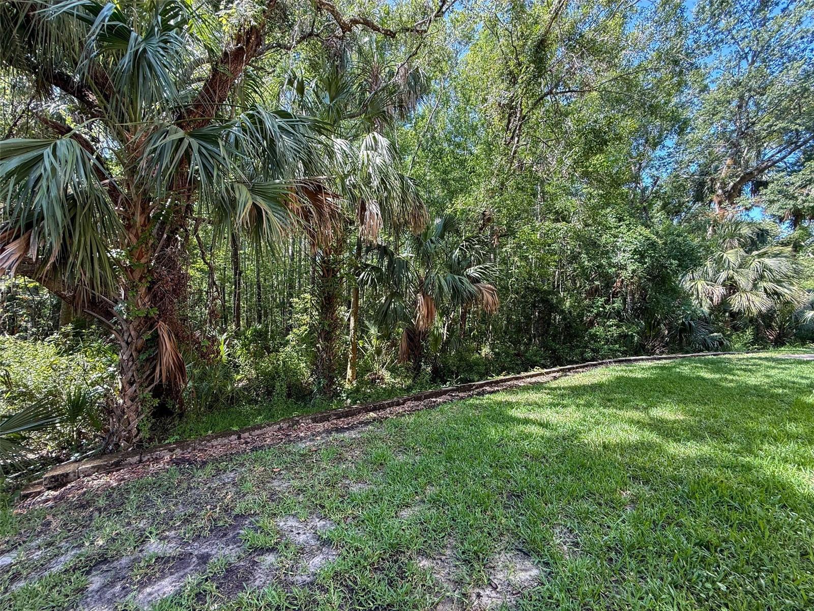 Listing photo id 59 for 5125 Palm Springs Boulevard 3108