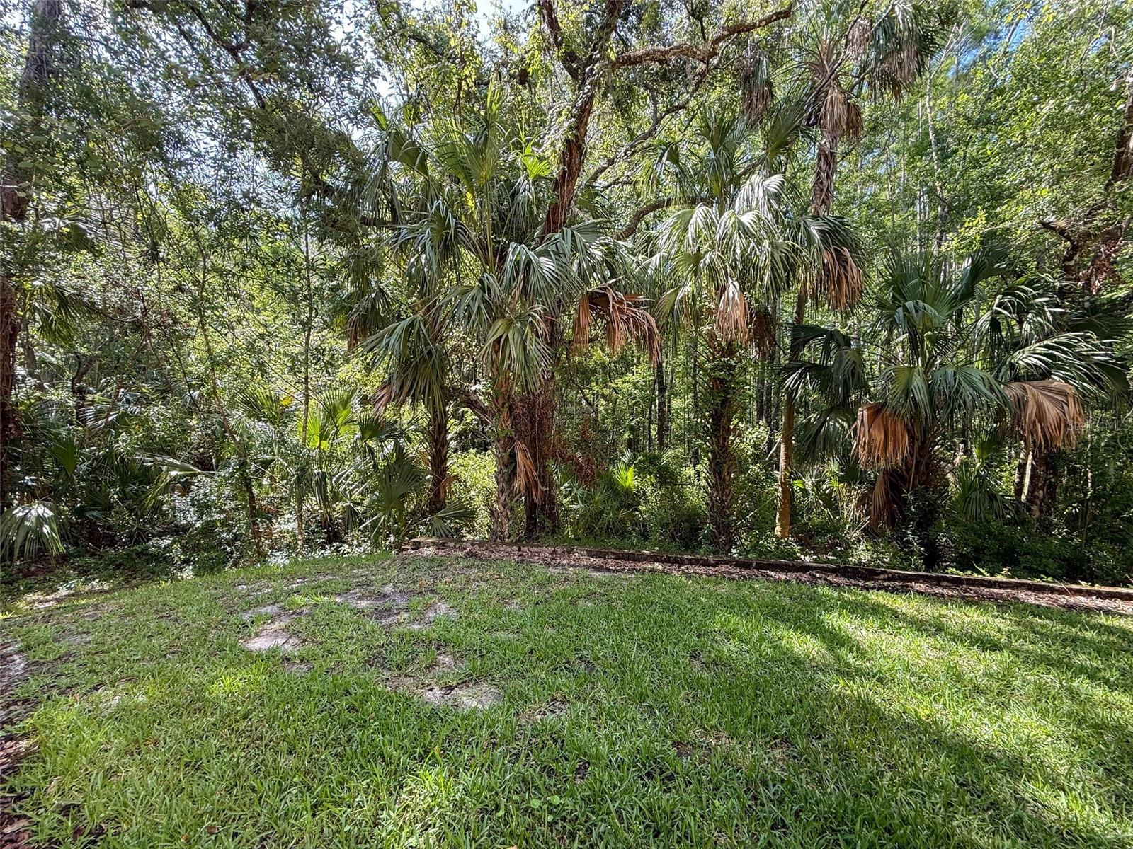 Listing photo id 60 for 5125 Palm Springs Boulevard 3108