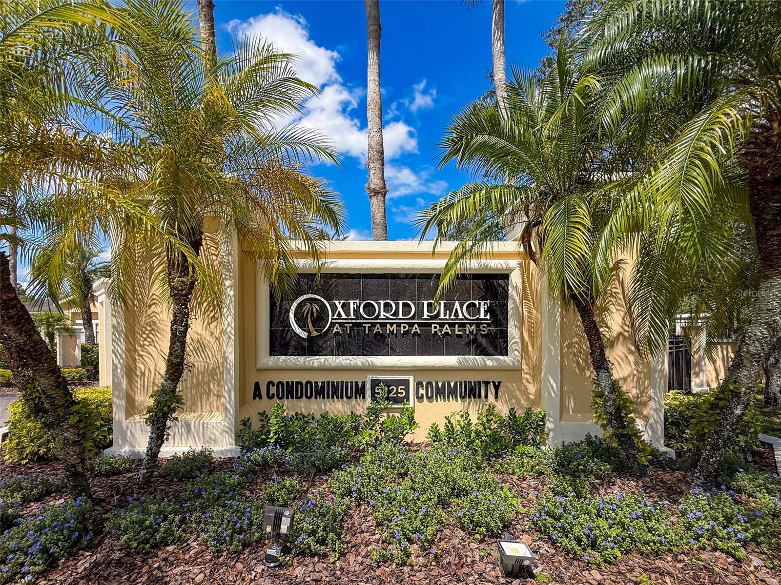Listing photo id 71 for 5125 Palm Springs Boulevard 3108